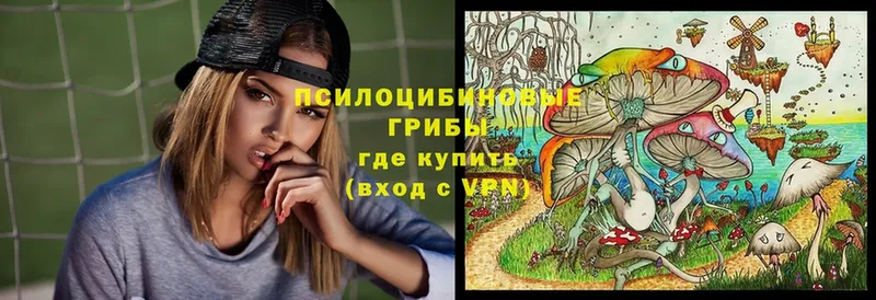 МЕГА зеркало  Кириллов  Псилоцибиновые грибы Psilocybine cubensis 